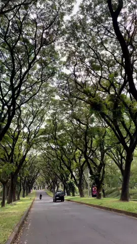 Setenang itu #vibes #tamandayu  #pandaan