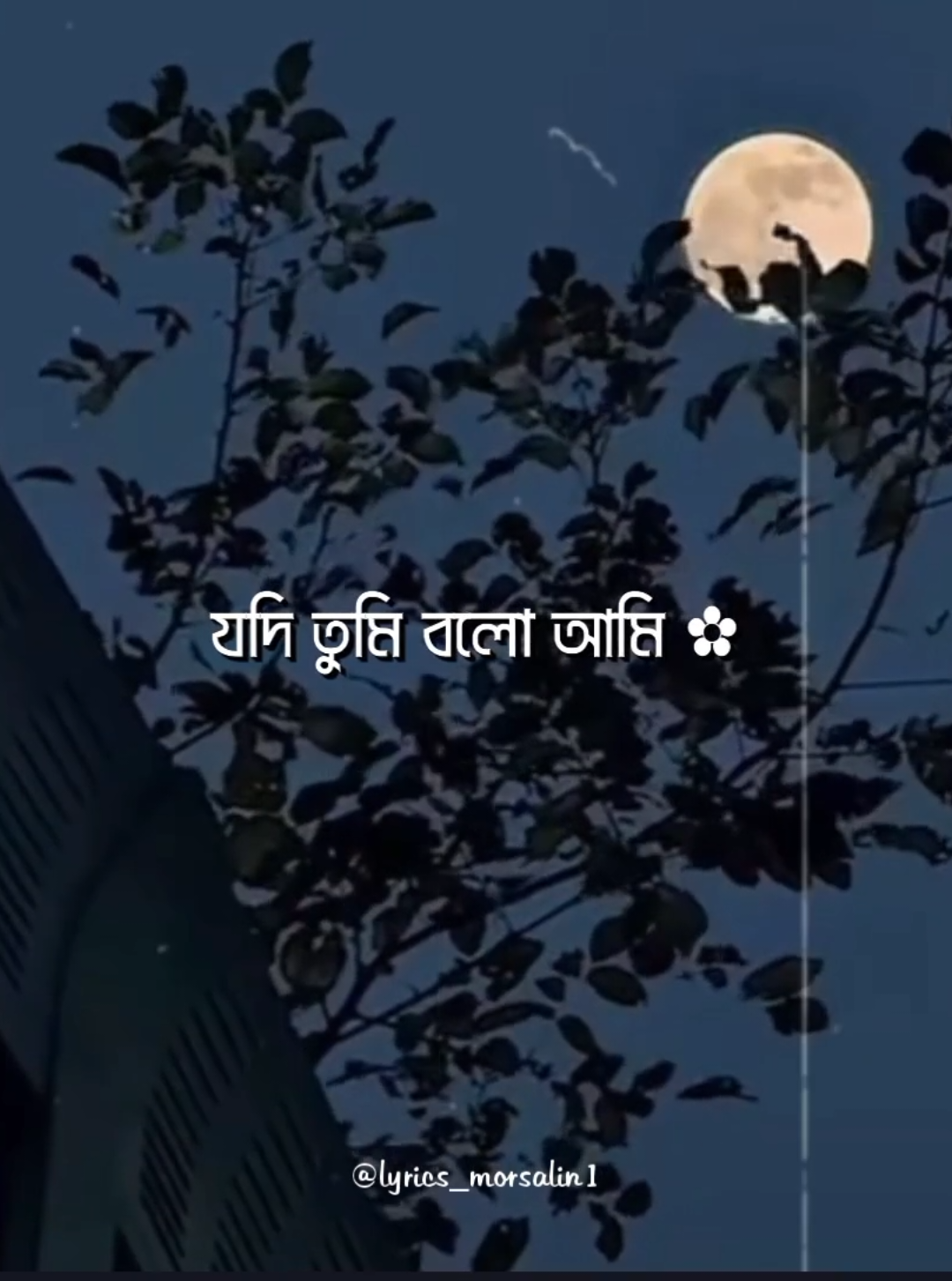 - Feel This Song 