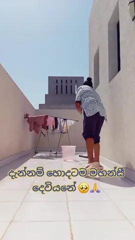 ඊයෙ තට්ටු 3ක් අස් කරලා ඉවර උනාම අද වැඩ නෑ කීව සිකුරාදා නිසා,,,,දැන් කියනවා හෝස් හෝදන්නලූ මේ අව්වේ,,,,දැන්නම් ගොඩාක් මහන්සී අම්මෙ,,කවද්ද මේ මාස ටික ගෙවෙන්නෙ ඉක්මනින් ඔයාලා ලගට එන්න😌🥺🇸🇦🇱🇰❤️❤️❤️❤️