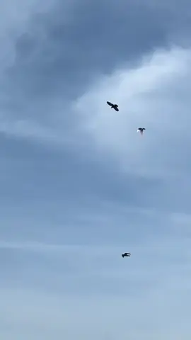 #حمام_لوت #تصميم_فيديوهات🎶🎤🎬 #لايك_متابعه_اكسبلور #شعب_الصيني_ماله_حل😂😂 #للونسه_فقط😂😂 