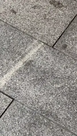 #CarModelMinMin #ElegantTemperament 