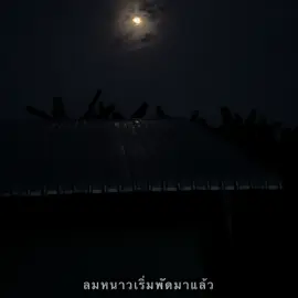ลมหนาวเริ่มพัดมาแล้วว ❄️🤍 #เธรดเพลง #สตอรี่ #เธรดความรู้สึก #ฤดูหนาว 