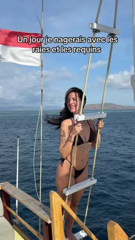 Le goal de ma vie 🦈