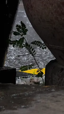 Ai cũng cố tỏ ra bình tĩnh và ai cũng phải gòng mình