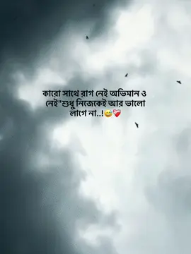 কারো সাথে রাগ নেই অভিমান ও নেই