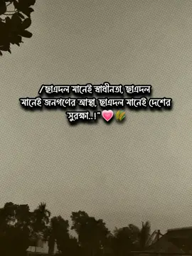 বাংলাদেশ জাতীয়তাবাদী ছাএদল✊🌾#fyp #foryou 