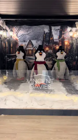 Our singing penguins are back in store!!! Let the Christmas songs begin!!🐧🐧🐧 #fyp #singingpenguins #christmas #vincentdavies #christmassongs 