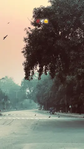 #viralvideo #foryoupage #دیس_پنجاب🌾 #سچیاں_گلاں💖💖💯💯✔✔ #پنجابی_کلچر🌾🍂 