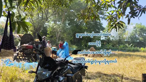 ရွာမှာက ဈေးသိပ်မကြီးဘူး🥴 #ဒီတစ်ပုဒ်တော့fypပေါ်ရောက်ချင်တယ်🥺 