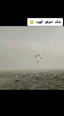 #حمام_لوت #مياز #مشاغل #علي_صياح_عميد_الهوايه #الشعب_الصيني_ماله_حل😂😂 