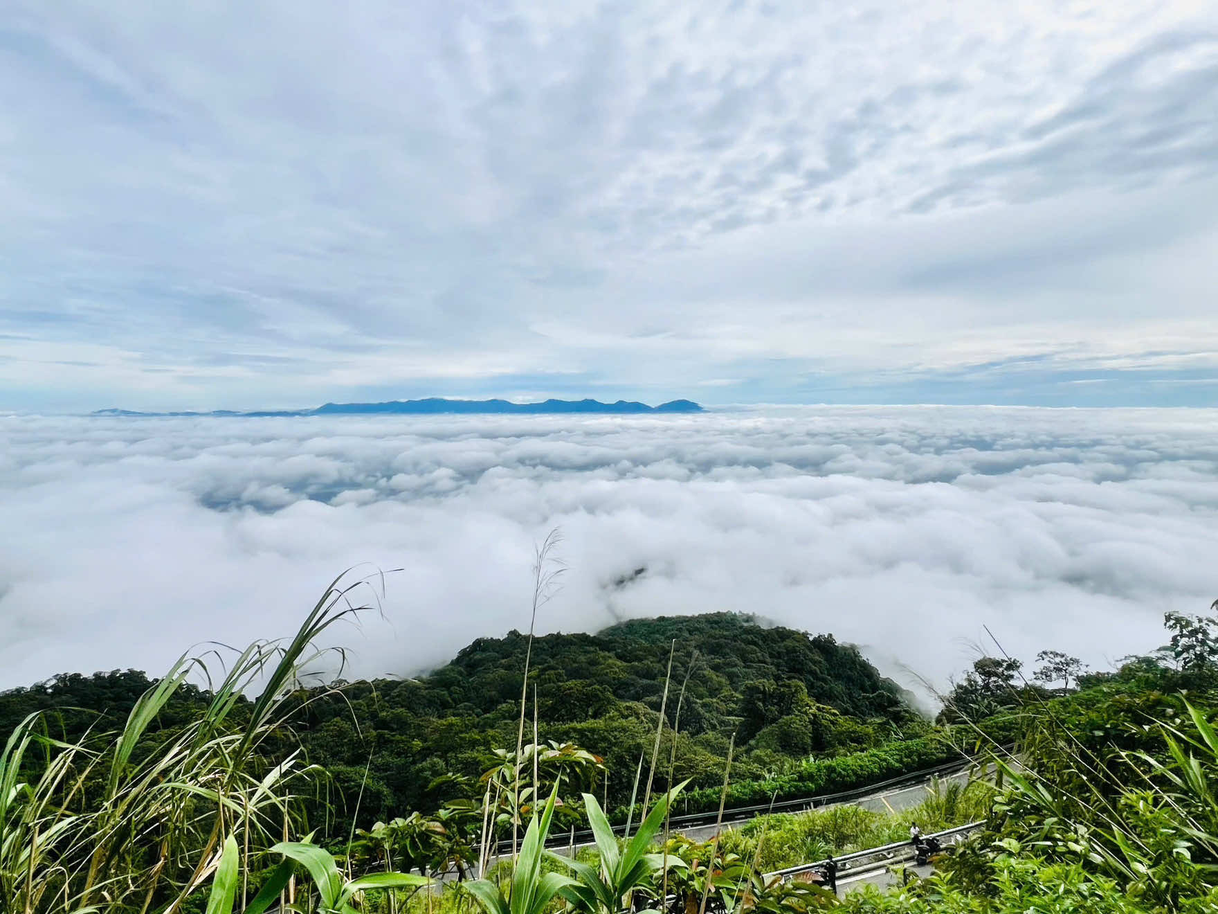 Lên kèo Ba Vì dã quỳ chưa ae #bavi #hoadaquy #chillwithtiktok #ilovetiktok #sanmaybavi 