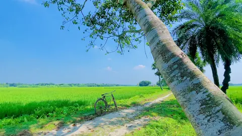 তোমাকে নিয়ে ডুবে যাবো 🌸❤️‍🩹 #natural #fyp #foryoupage #vi 