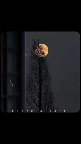 part 18|𝐕𝐈 𝐄𝐊 𝐃𝐈𝐍 𝐌𝐍 𝐍𝐈 𝐇𝐎𝐍𝐀🫀👀🎧💫 . . . . . . #trending #aizu_aestix #foryou #lyrics #plzztiktokunfreezmyaccount 