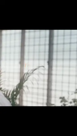 #WeareseriesOst #pondphuwin #meandthee 