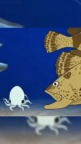 If you were a blue-ringed octopus#animals #Foryou #Friendship #Us