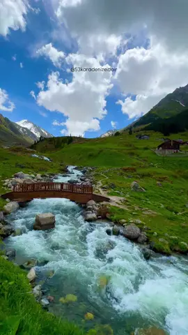 Daha Fazlası İçin Takip Et 😊 🎥 Telif Hakkı❗️ #rize #elevit #karadenizşarkıları #karadeniz #karadenizli  