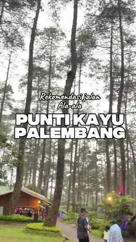 Cakmano guys kalo punti kayu kito sudah cak ini 😍😍 Insyaallah semoga rame lagi dan kito lestariken lagi ye guyss  📍palembang #puntikayupalembang #wisatapalembang #fyppppppppppppppppppppppp #healing #palembang 