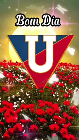 #ldu #palmeiras #futebol #libertadores #bomdia