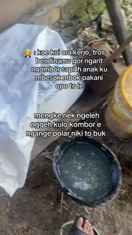 guyon bukk😭😭#fyp #peternak #peternaksapi #masukberanda 