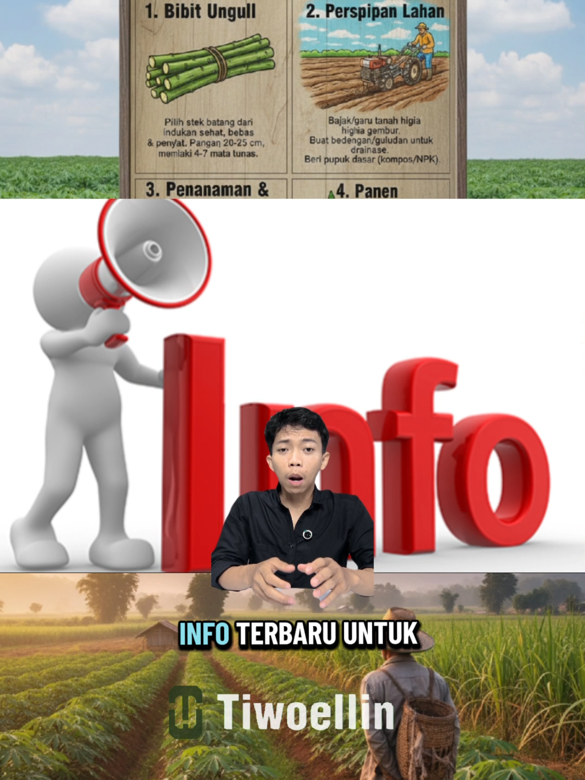 Menurut kalian gimana? coba tulis di kolom komentar ya #singkong #singkonglampung #tiwoellin #hargasingkong 