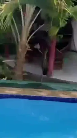 🖤NAYARA ASSUNÇÃO🖤 #fyp #foryou 