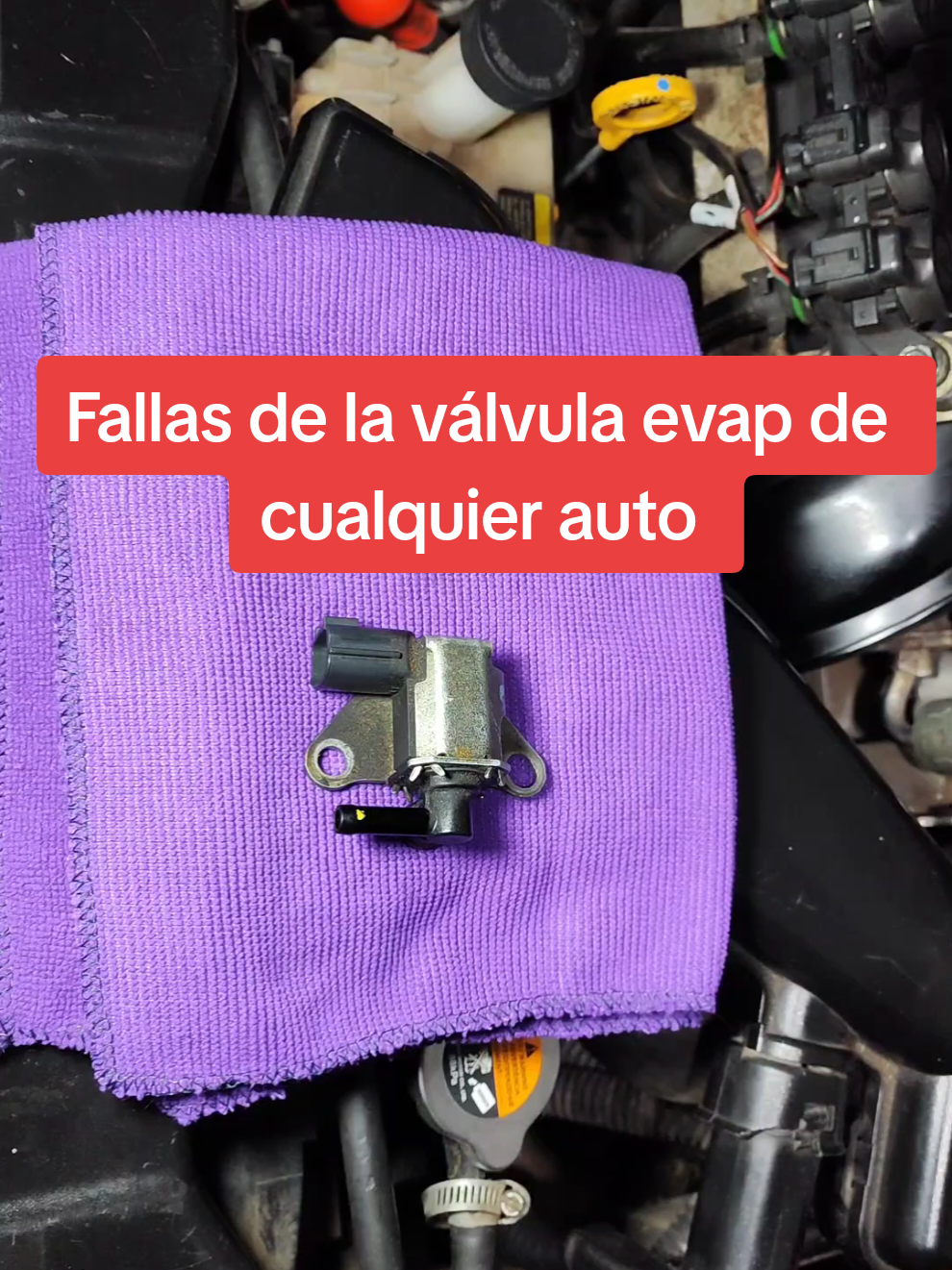 Fallas de la válvula evap del auto #automobile #evap #valvula #auto #mechanic 