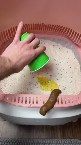 Makes owning a cat that much easier #catlitter #autoscooper #litterbox #automaticlitterbox #tiktokshopcreatorpicks 