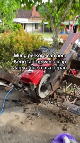 😌#kubuta110 #petaniindonesia🇮🇩🇮🇩🇮🇩🌿🌿 