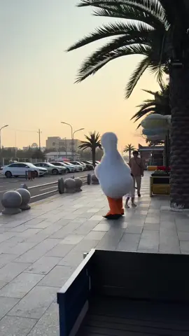 Funny 😆 #funnyvideo #funnymoments #funny #fyp #laugh 