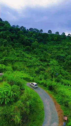 Xóm mừng - Cao Phong  Trước ngày gặt lúa #caophong #28hoabinh #xommungcaophonghoabinh 