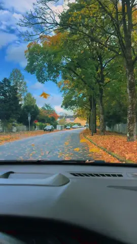 #تیک_تاک_فارسی #تیک_تاک_ایرانی #herbst #wuppertalgermay🇩🇪 