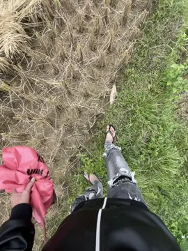 Mèn mén đây ae #xuhuongtiktok #hagiangloop #xhh