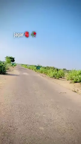 Balocoi song🥀#Repostpleas #hilaights ❤️ #foryoupage❤️❤️ @⚔️ نياز علي مارکاڻي 🫶 @Khatoomal Rathore💫 @Raجa meer M Samejo Raجa meer M 