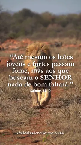 Davi sabia o que era passar necessidade. Ele não escreveu essas palavras de um palácio, mas de um coração que já conheceu fome, medo e solidão. Mesmo assim, ele afirmava com convicção: aqueles que buscam o SENHOR não ficam sem aquilo que realmente precisam. A experiência de Davi mostra que o cuidado de DEUS não se mede pelo tamanho do que temos, mas pela certeza de QUEM está conosco. Muitos de nós já passamos por tempos em que parecia faltar tudo: o recurso, a resposta, o ânimo. Mas, olhando para trás, percebemos que nunca faltou o essencial — o sustento diário, a presença de DEUS, o consolo do SEU Espírito.  O SENHOR não prometeu atender todos os nossos desejos, mas suprir todas as nossas reais necessidades. Quando ELE é o centro, até o pouco se torna suficiente. Hoje, sejamos gratos por cada provisão que vem das mãos do PAI. Talvez não tenhamos tudo o que queremos, mas temos exatamente o que precisamos para confiar mais NELE. 
