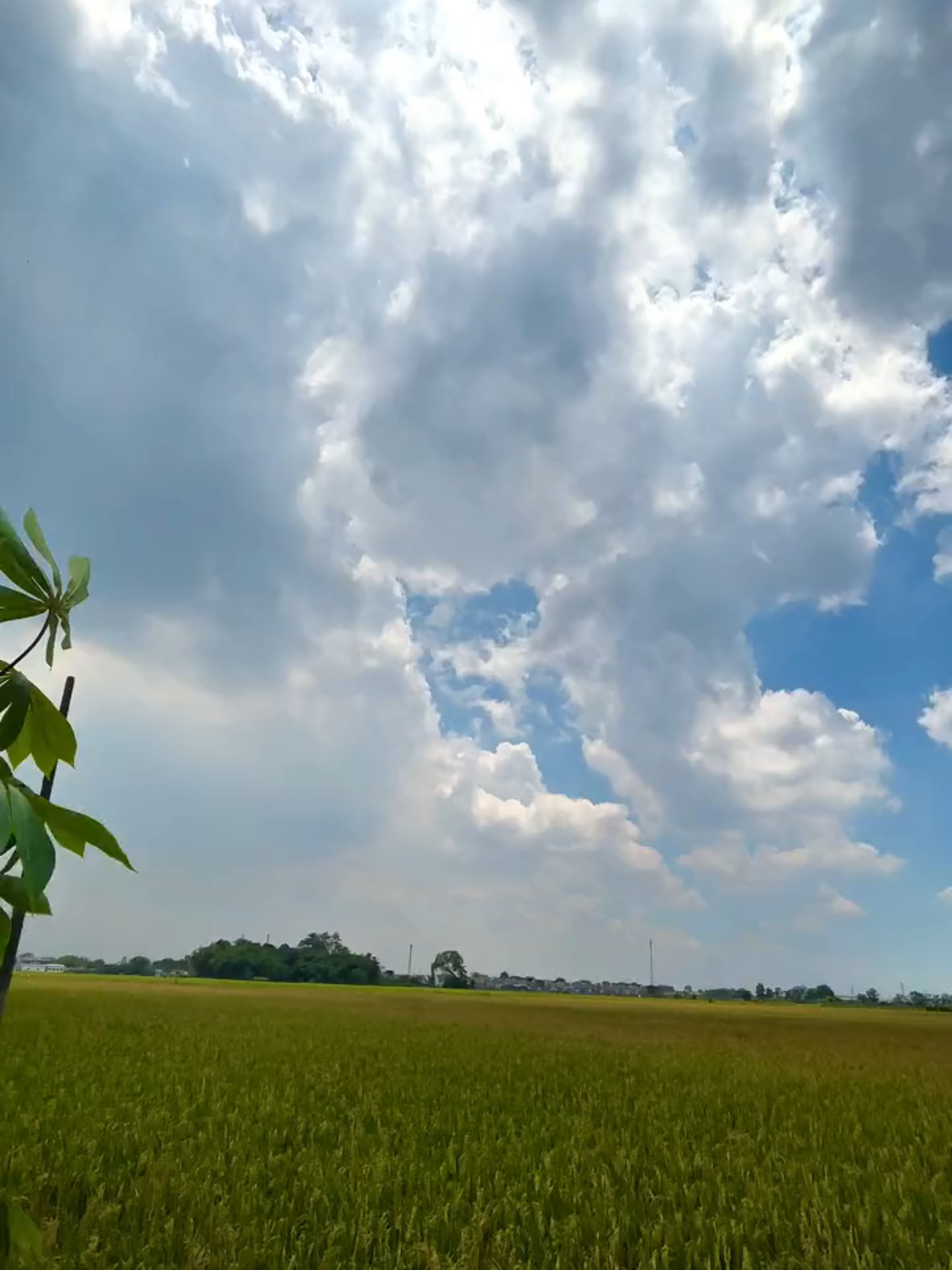 Lihatlah betapa indahnya ciptaan-NYA🌥️☁️⛅🤟🤟 #microsoftedge #Ccpro #4k #mSim11