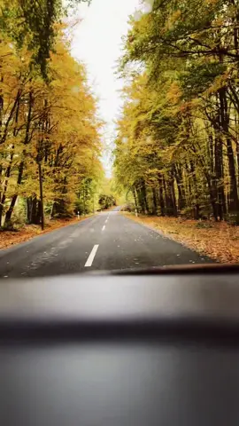 🍁🖤 #capcut #safeplace #heimat #gedanken #loslassen 