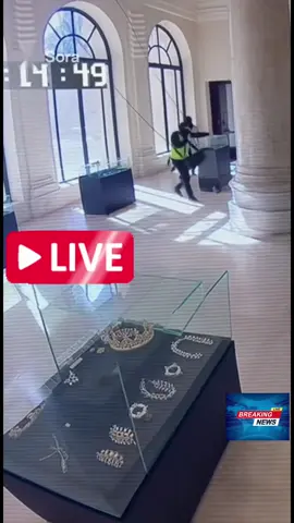 CCTV images from Louvre Heist which targeted France’s priceless Crown Jewels #louvre #fyp #heist #viral 