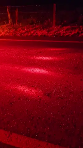 ##t800kenworth🇨🇴🇨🇴🇨🇴🇨🇴🇨🇴🇨🇴🇨🇴🇨🇴🇨🇴🇨🇴 ##tractomulasconestilo💯💨 