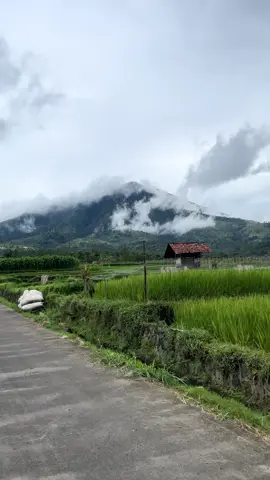 cilawu sa atos hujan ☔️ 🌧️  #garut  #cilawu  #fyppppppppppppppppppppppp 