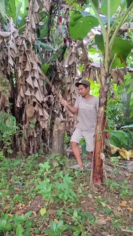 mau ketawa takut dosa video lucu bikin ngakak hiburan warga+62  #viral #trending #tiktok #viralvideo  #funnyvideos 