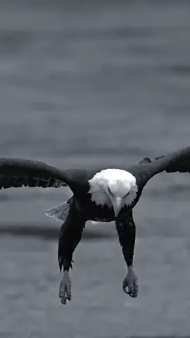 God's plan is different  #motivation #inspiriational #gods plan #mindsetmotivation 