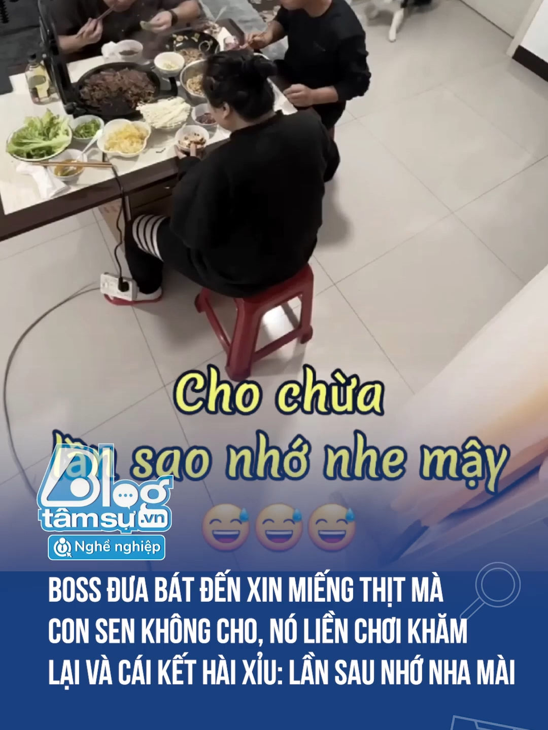 Lần sau nhớ mặt t nha mài #discovery #blogtamsu #xuhuong #btsmedia #tiktoknews #funfact #viral #haihuoc #cho #dangyeu