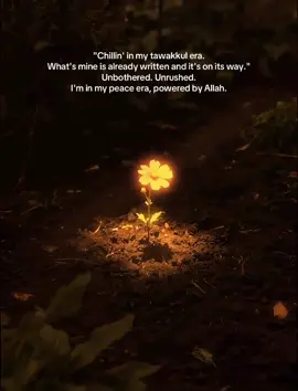 #ALLAH #fyp #signforyou #islamic_video #viral 