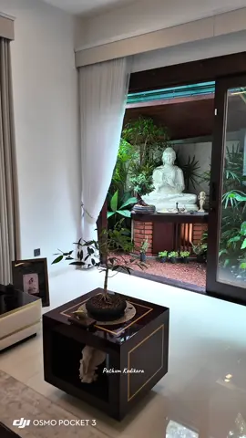 Home #Buddha #peaceful #world #flypシ #viral 