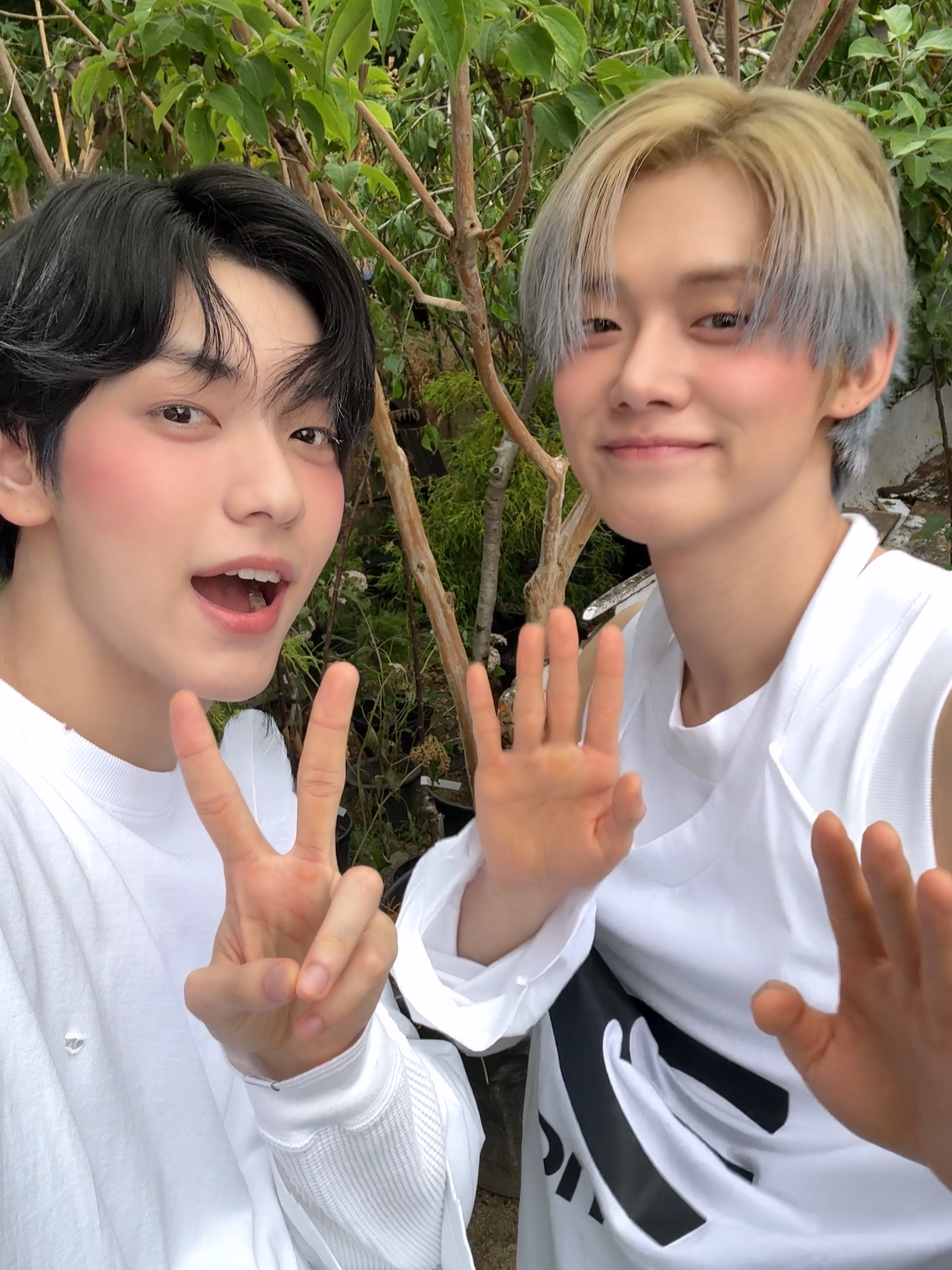 Oh Oh🗣️ #TXT #SOOBIN #YEONJUN  #WDYG #WDYG_Challenge #NewMusic