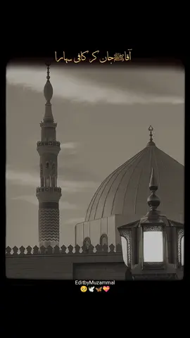 یا نبی سلام علیک یا رسول سلام علیک ❤️🦋  #foryou#foryoupage#unfreezemyaccount#growmyaccount#12rabi_ul_awal#foryou   #fypviral #islamic #trending  #makkah #foryoupage #UK  #islamic_media  #unfreezemyacount #islamiccontent#madina #ruhniyat #viral_video #fypシ゚viral #makkah #naat #viral #unfrezzmyaccount   #foryoutrick #fyp #makkah #natt  #naatsharif #islamic_video 