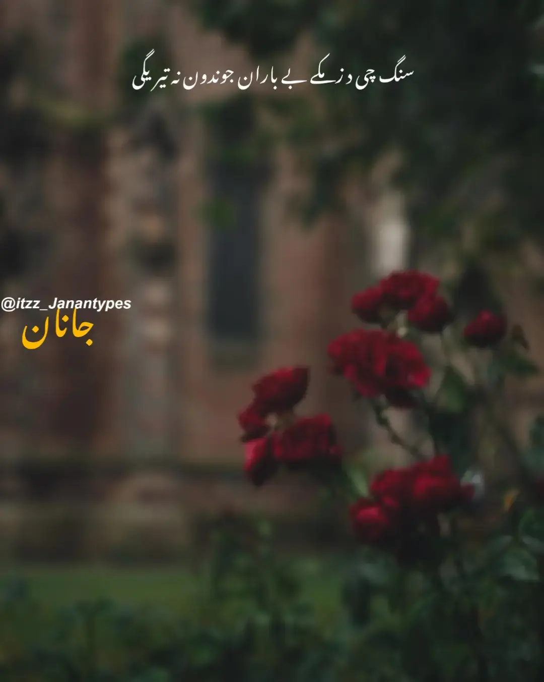 سنگ چی د زمکے بے باران جوندون نہ تیریگی  داسے زما ہم بے کہ تانہ جوندون نہ تیریگی  او ستا د ستم ہرے لحزے کڑم لکہ مڑاوے گلاب  لالییہ ڈیر یم پریشانہ جوندون نہ تیریگی  او ستا تصویر ٹکوراوم د زڑہ زاڑہ زخمونو  تنگ شوے ڈیر یم د ہجرانہ جوندون نہ تیریگی  او تہ لیوانی ہے چی د تلون خبرے ماتہ کوے یوہ لاحضہ مے مسلمان جوندون نہ تیریگی  مینہ ایمان د او زہ یمہ چی سوچہ مسلمان  زاہدہ مانہ بے ایمان جوندون نہ تیریگی #fypシ゚viral #pashtolines #foryoupage #500kviews #itzz_janantypes 