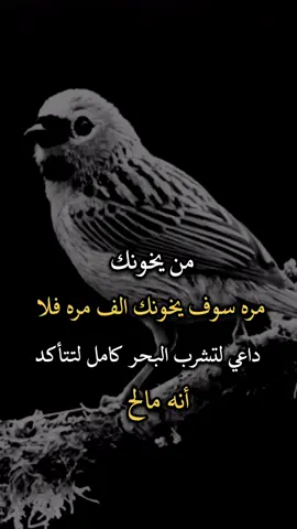 #اجمل_عبارة_راح_ثبتها📌 #عباراتكم_الفخمه📿📌 #افضل_عبارة_لها_تثييت، 