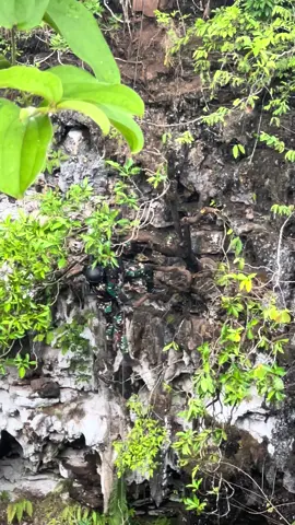 Penyelamatan korban dari ketinggian 90 meter.tetap semngat dan jaga faktor keamanan Raider #408 #raider408 #suhbrastha #tni #tniad 