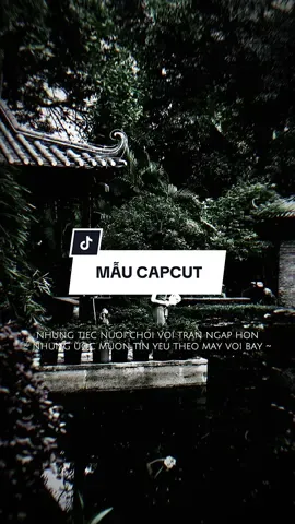 #CapCut Những tiếc nuối chơi vơi tràn ngập hồn những ước muốn tin #capcutmaster #xuhuong #nhachaymoingay 